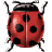 *